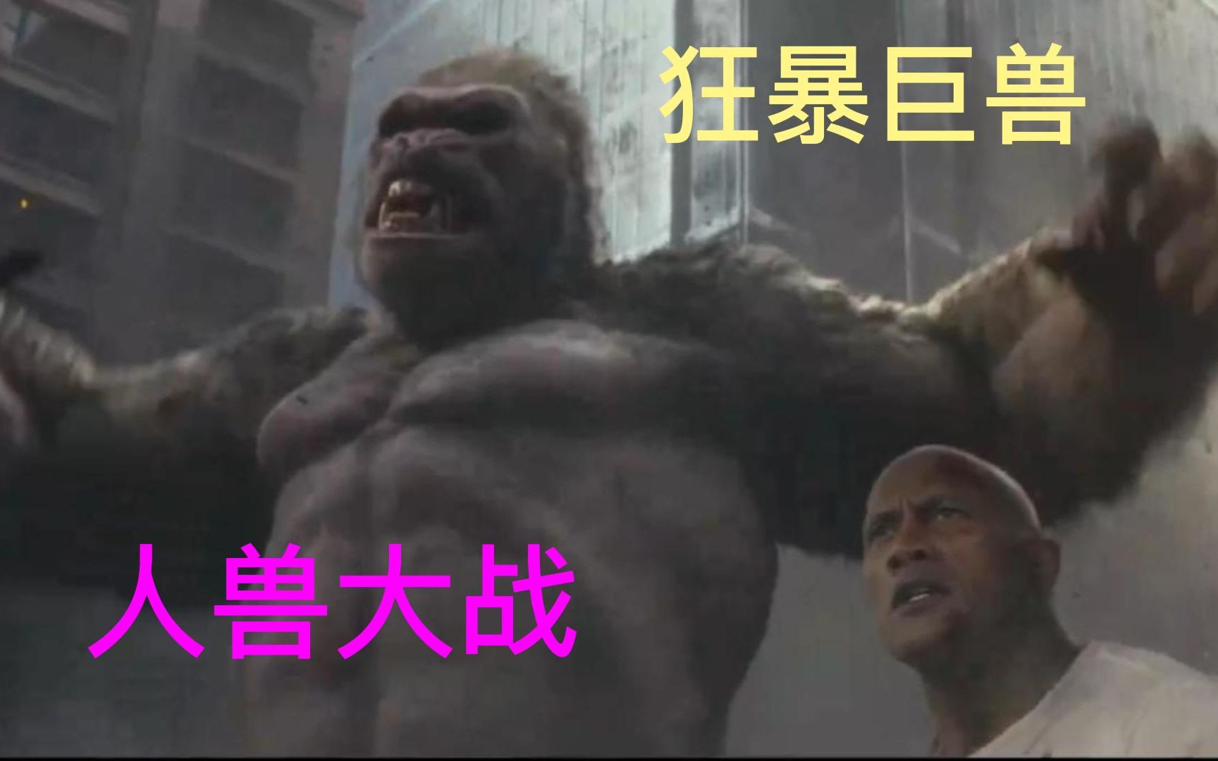 狂暴巨兽:金刚大战飞天巨鳄,飞天狼妖
