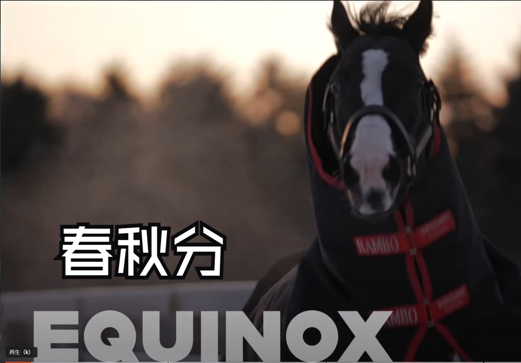 NEW for 2024 STALLIONS 社台种马站新种马介绍 春秋分、速度大师、掷弹兵团哔哩哔哩bilibili