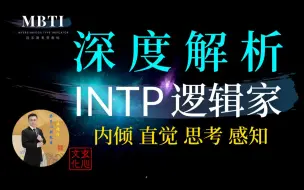 Download Video: INTP 逻辑家（内倾 直觉 思考 感知）聪颖机智解决问题的人