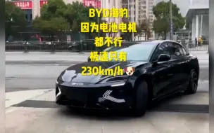 Télécharger la video: BYD海豹由于电池电机都“不行”极速只有230km/h