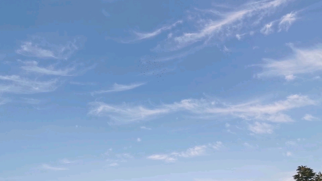 清晨的天空云朵