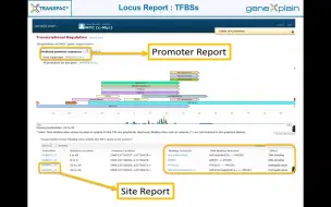 Скачать видео: TRANSFAC 转录因子数据库 -- 如何进行基因检索 (e.g. Myc gene) 并输出检索报告