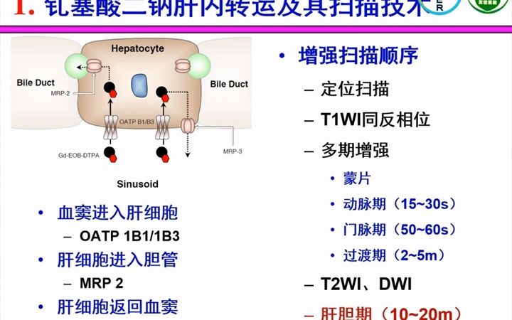 12.肝细胞特异性对比剂增强图像的判读肝脏疾病影像诊断基本功哔哩哔哩bilibili