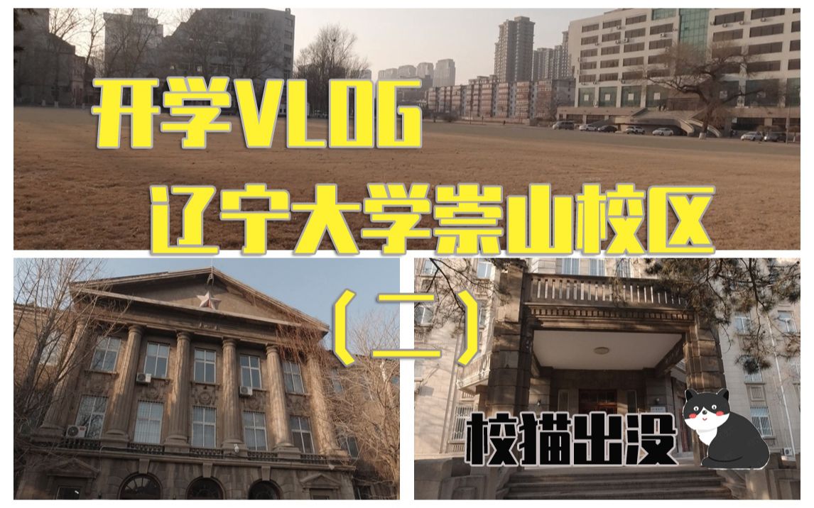 【开学VLOG】带你溜达老校区 校猫出没#辽宁大学##辽宁大学崇山校区##校园分享官##开学VLOG#哔哩哔哩bilibili