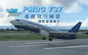 下载视频: 微軟模擬飛行 PMDG 737 基礎飛行練習 (搖桿設定、飛行操控介紹、基礎飛行練習)