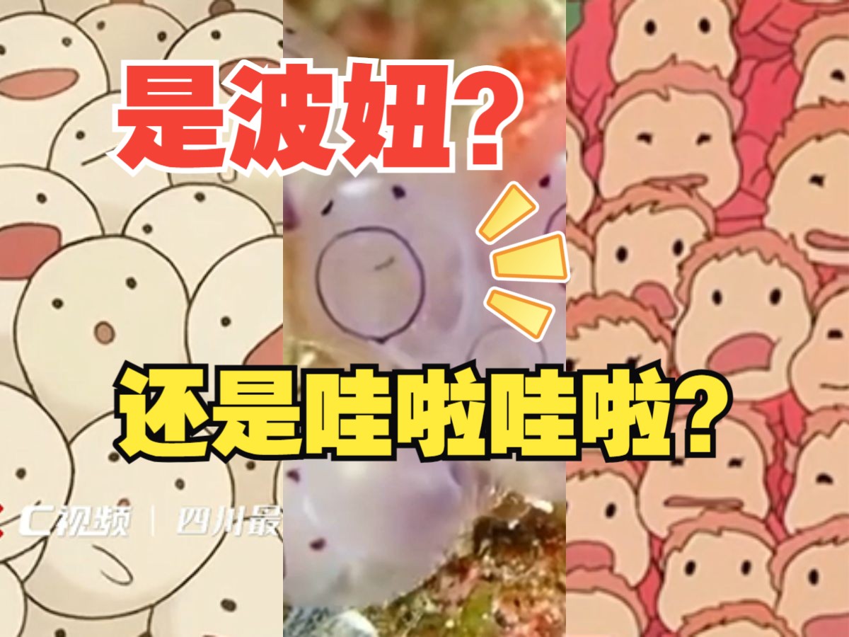 可爱到想养一群!波妞的原型竟是它?哔哩哔哩bilibili