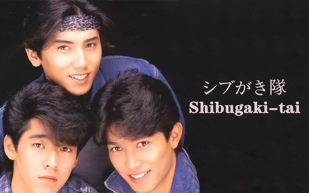 日本）シブがき隊 Shibugaki-tai【获奖荣誉】1982~1988_哔哩哔哩_bilibili