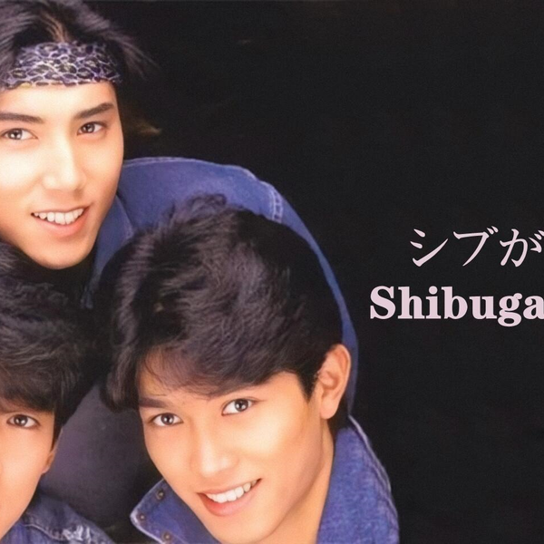 日本）シブがき隊 Shibugaki-tai【获奖荣誉】1982~1988_哔哩哔哩