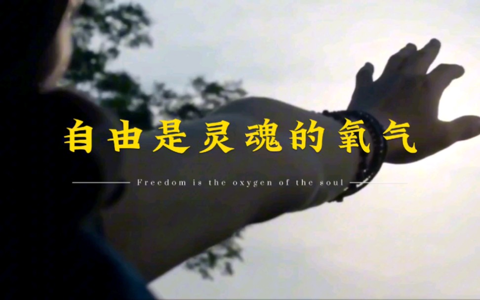 自由是灵魂的氧气