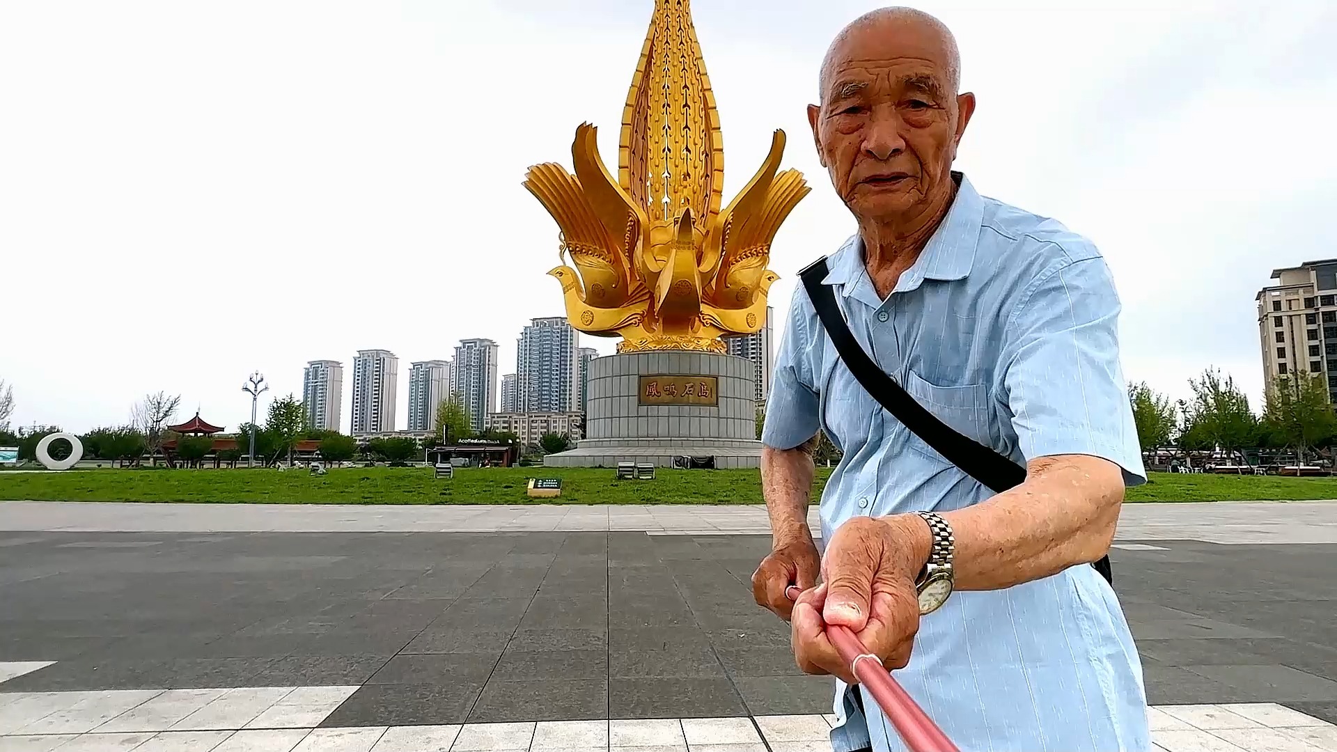 威海市荣成石岛凤凰湖公园二零二四年七月十八日星期四上午九点钟拍摄