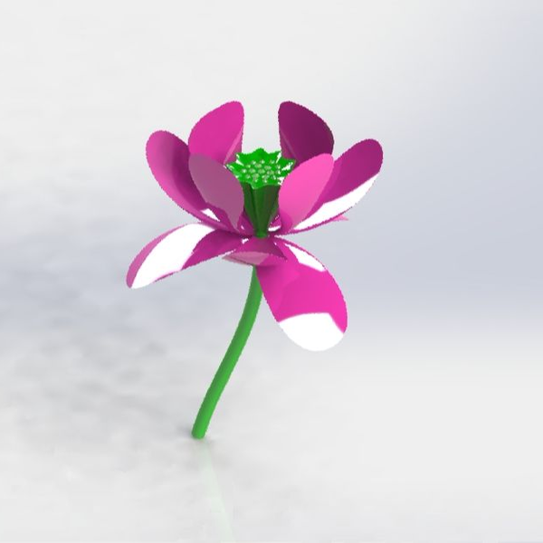 亦明图记】SolidWorks实例绘制，画了一朵荷花，莲蓬和花瓣添加