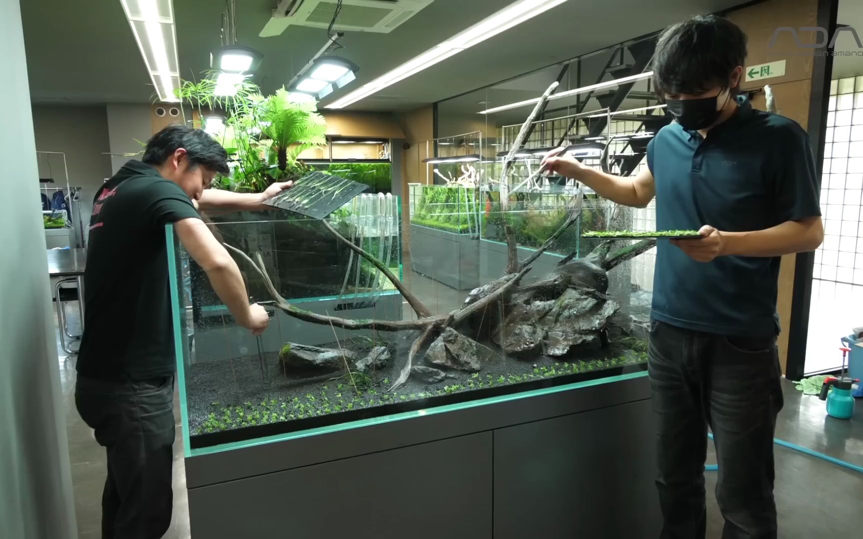 草缸造景[adaview] breezy waterside 風薫る水辺 -w180cm nature