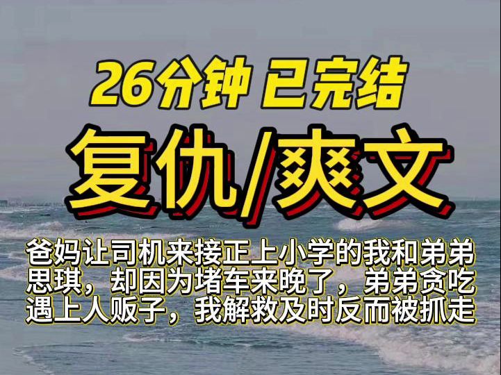 【完结文】复仇/爽文(爸妈让司机来接正上小学的我和弟弟思琪) 宝子们,放心食用!哔哩哔哩bilibili