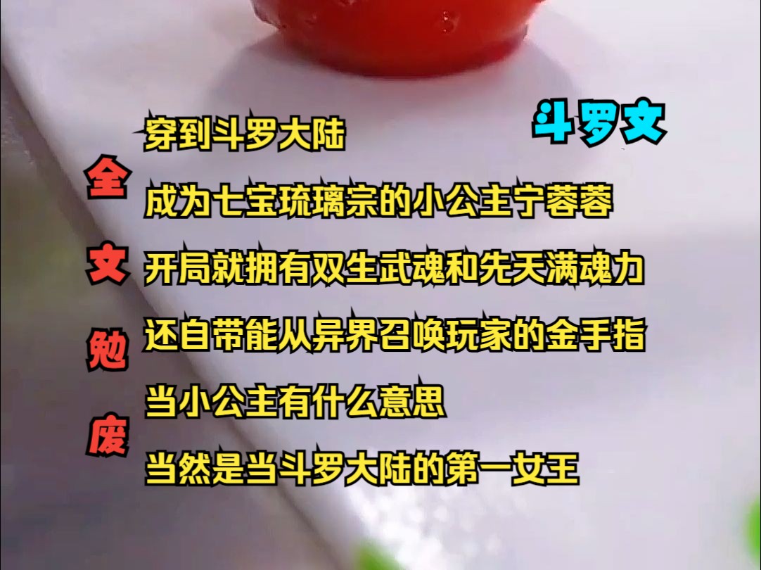 斗罗文《玩家武魂》穿到斗罗大陆 成为七宝琉璃宗的小公主宁蓉蓉 开局就拥有双生武魂和先天满魂力 还自带能从异界召唤玩家的金手指 当小公主有什么意思 ...