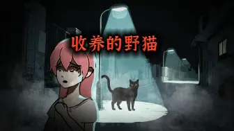 你有没有想过，你的猫其实比你相像的要聪明！