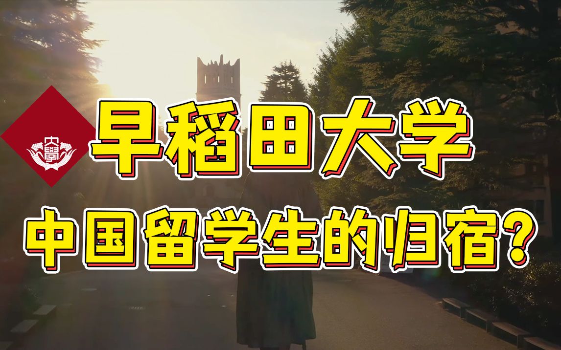 为什么早稻田大学在留学生中如此受宠?|日本留学哔哩哔哩bilibili