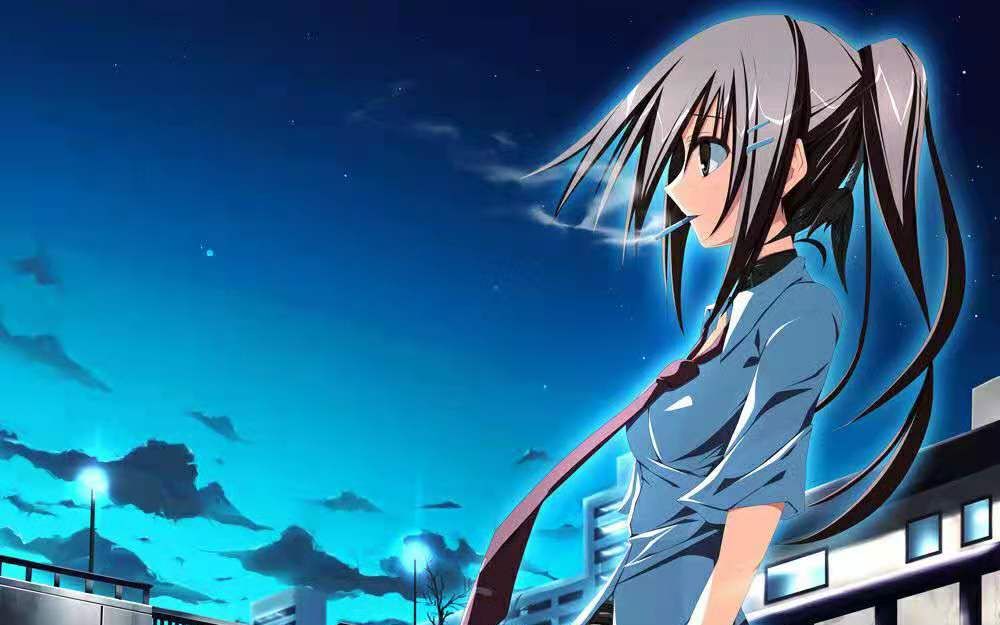 【fl】夜の向日葵