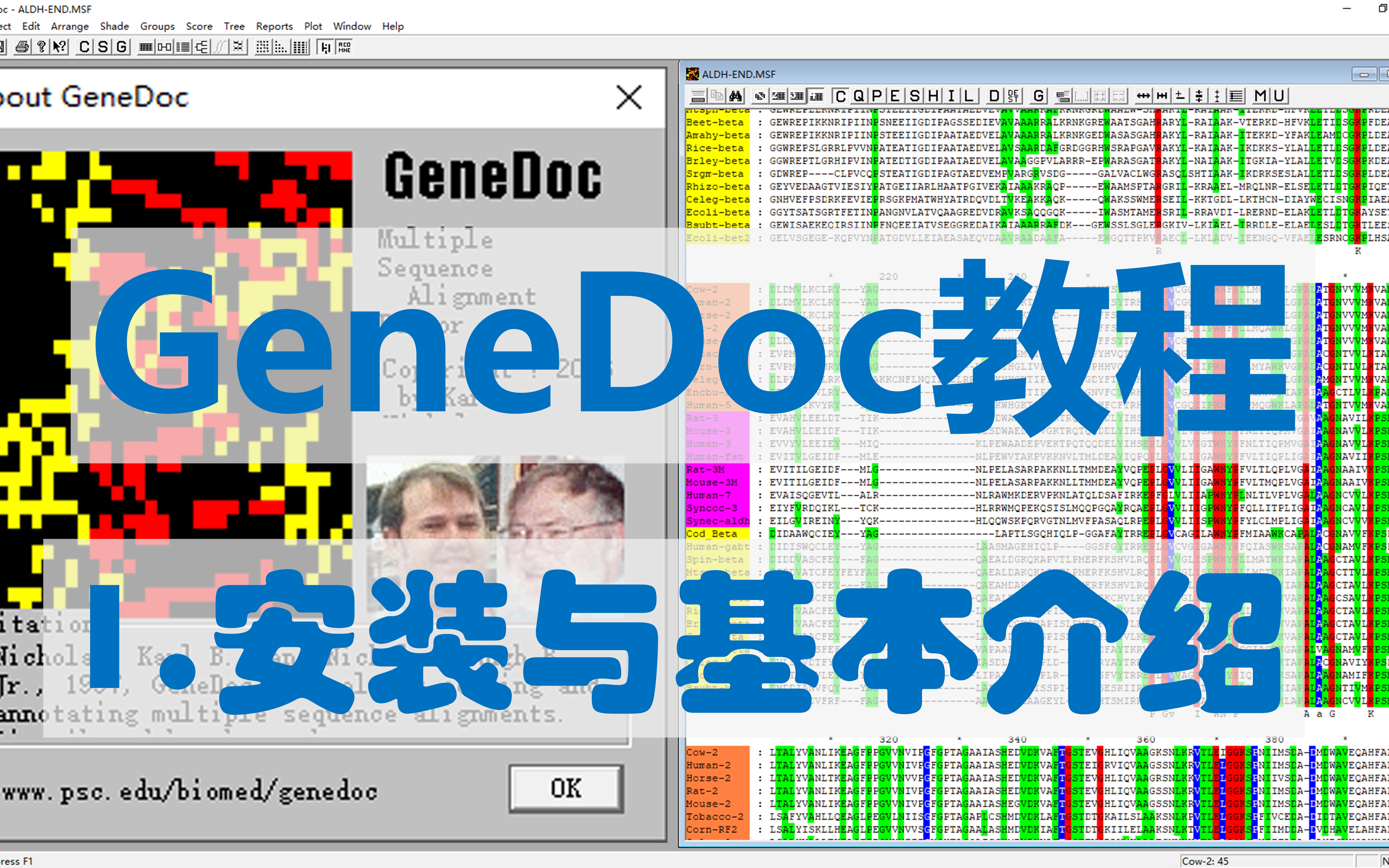 【四方居士】GD#1多序列比对美化软件GeneDoc的基本介绍与安装