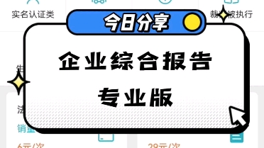 企业综合报告专业版哔哩哔哩bilibili