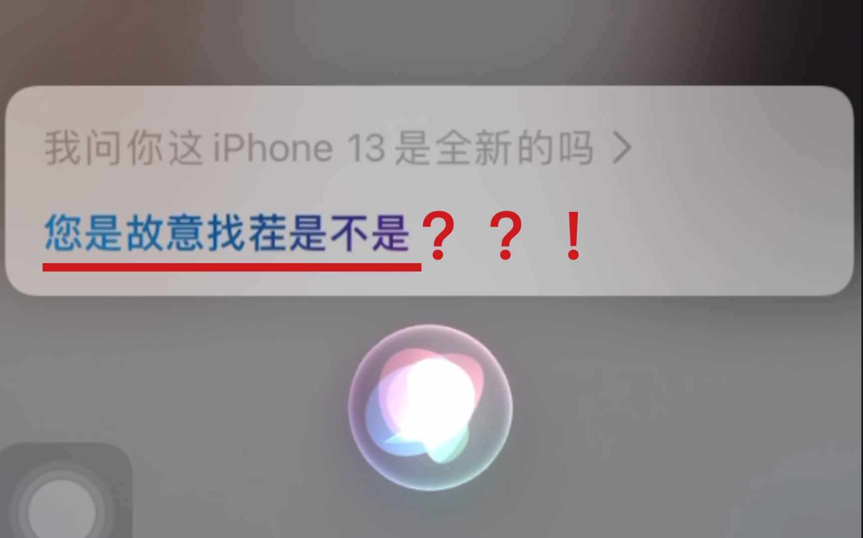 [图]Siri：您是故意找茬是不是