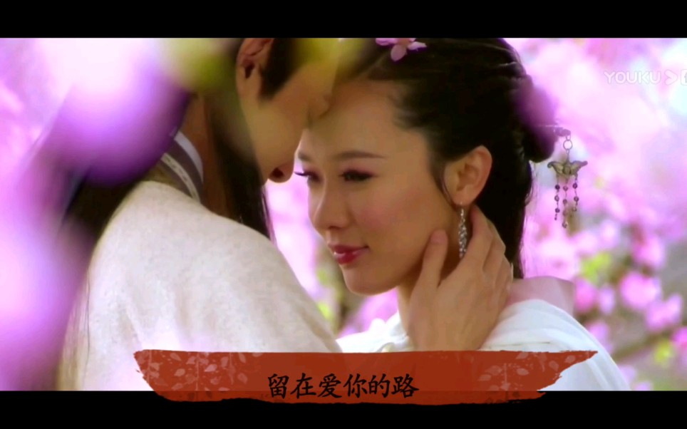 美丽无罪(苏美娘x黄秉乘cut)哔哩哔哩bilibili