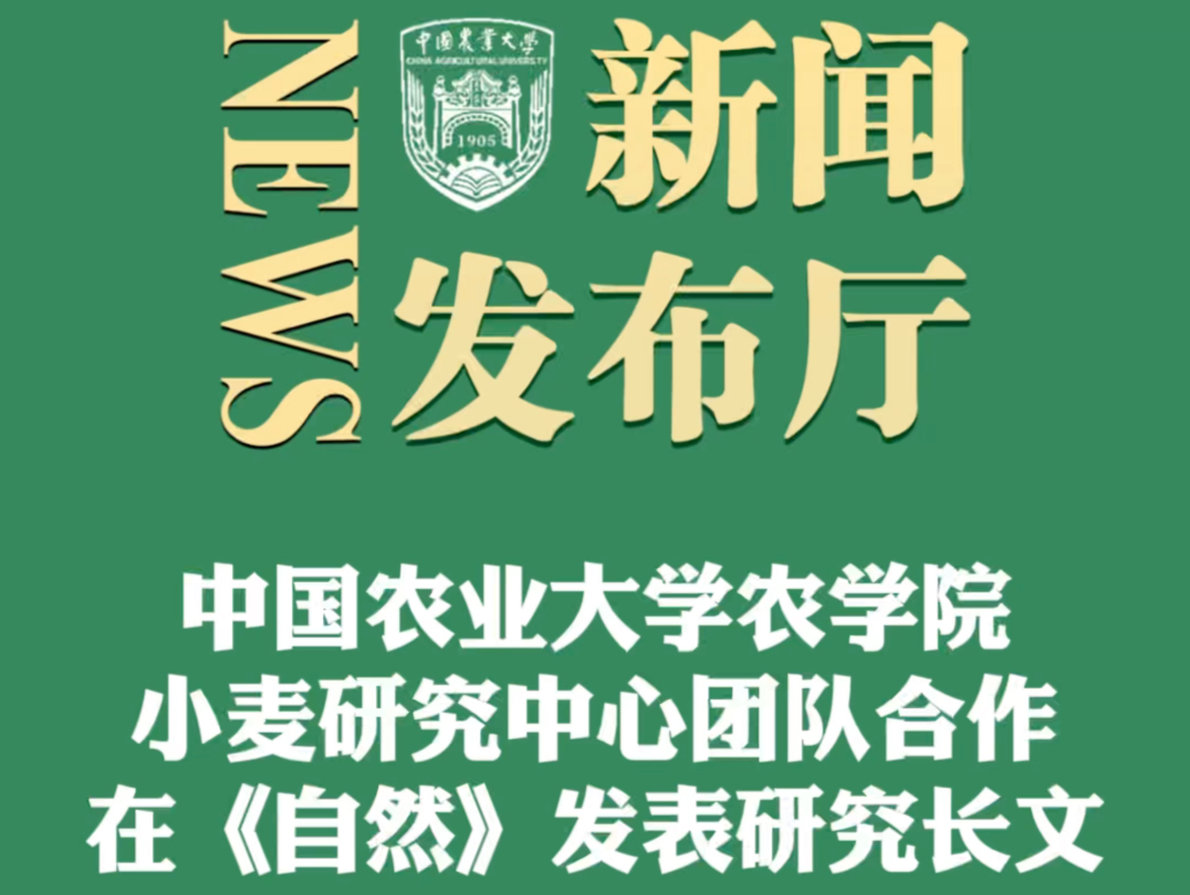 中国农业大学农学院小麦研究中心团队合作在《自然》发表研究长文哔哩哔哩bilibili