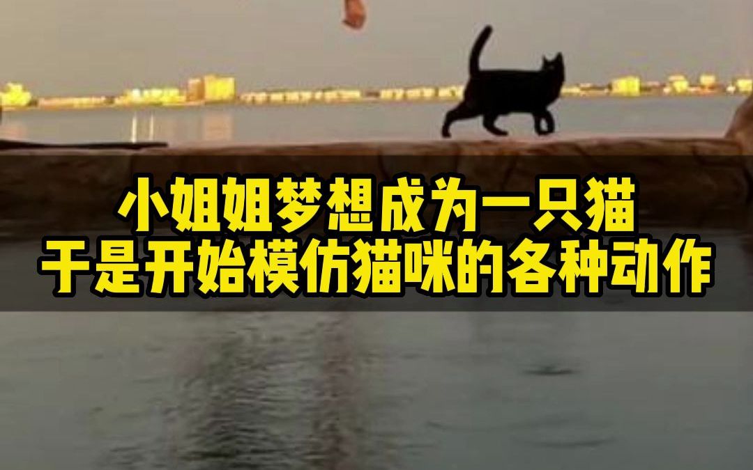 小姐姐梦想成为一只猫,于是开始模仿猫咪的各种动作哔哩哔哩bilibili