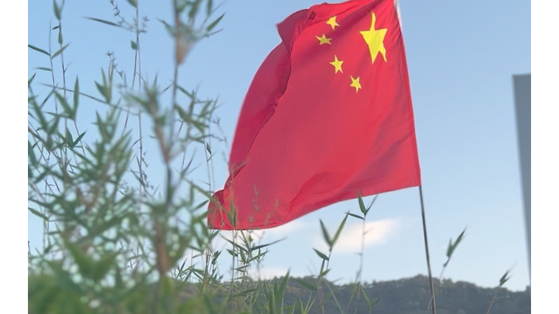 生在国旗下,长在春风里.