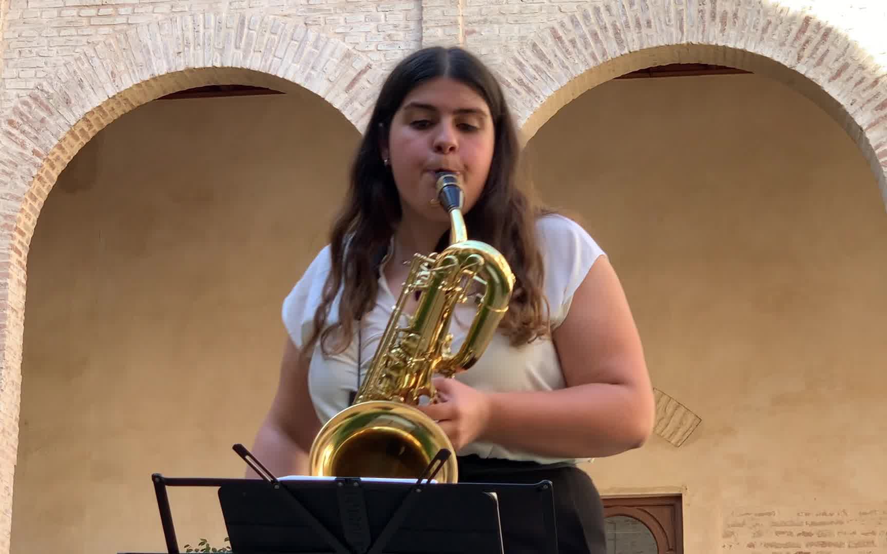 baritone萨克斯演奏西班牙弗拉明戈风格bboxflamencoboxclip