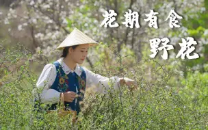 Télécharger la video: 花期有食（十二）“花期有食，浪漫无价”云南人的浪漫是把漫山遍野的野花吃进肚子里【滇西小哥】