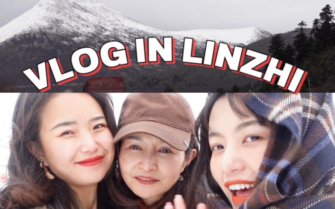 林芝VLOG|一天体验到四季|实现了雪山自由|自驾旅行太幸福哔哩哔哩bilibili