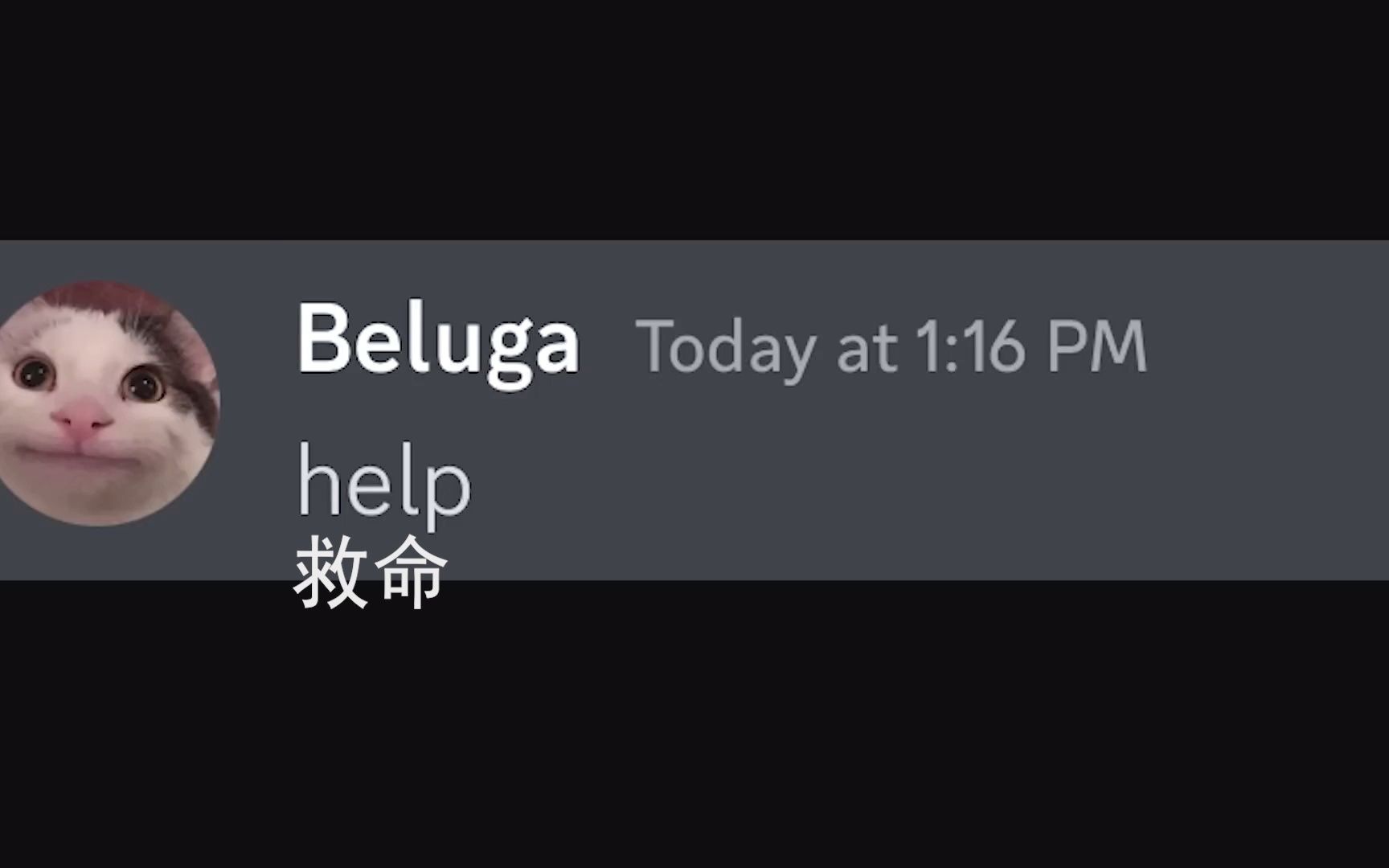 [Beluga和他的小伙伴]火星wifi,太快啦!哔哩哔哩bilibili