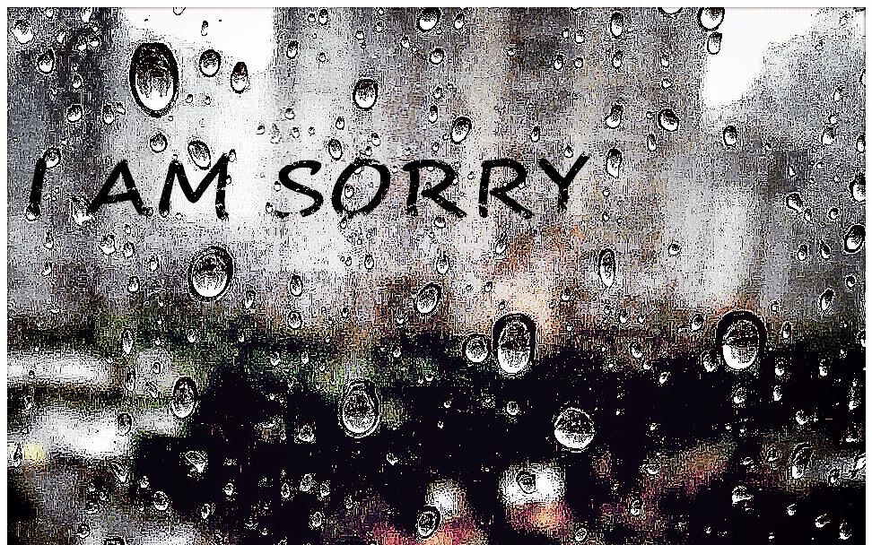 张漾《i am sorry》