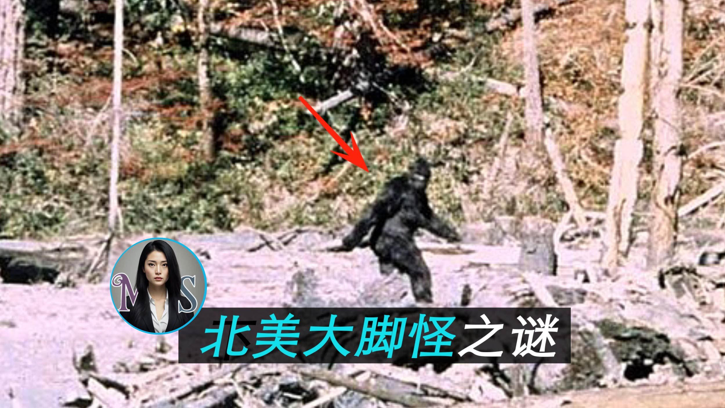 北美大脚怪,一个传说中的终极神秘生物之谜-迷思调查局misssecret