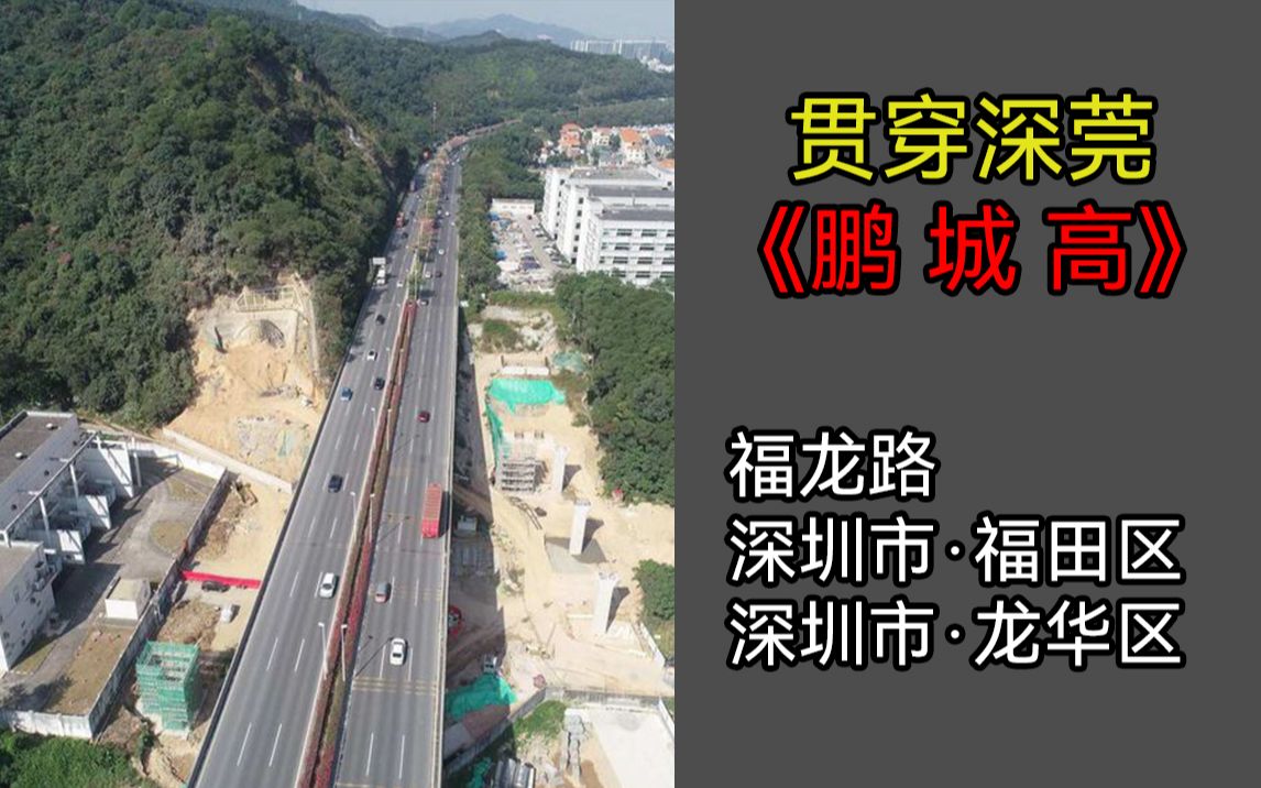 【湾区道路】我的莘莘学子路,福龙路哔哩哔哩bilibili