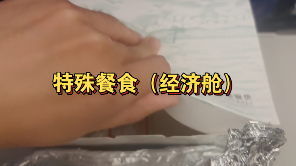 第一次尝试飞机特殊餐食 已老实