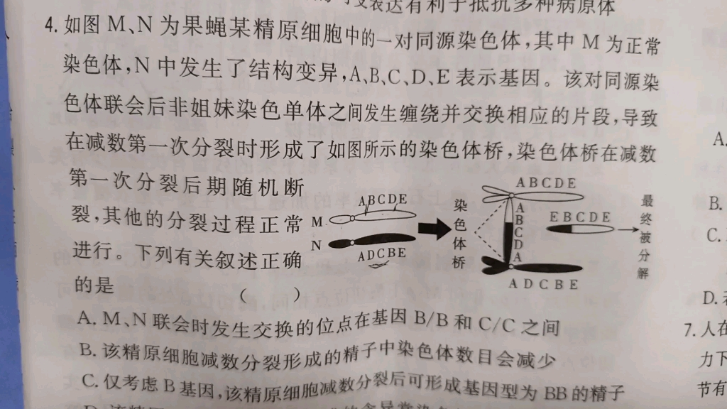 专注于当下,结果顺其自然.本题关键字是染色体结构变异,染色体桥.哔哩哔哩bilibili