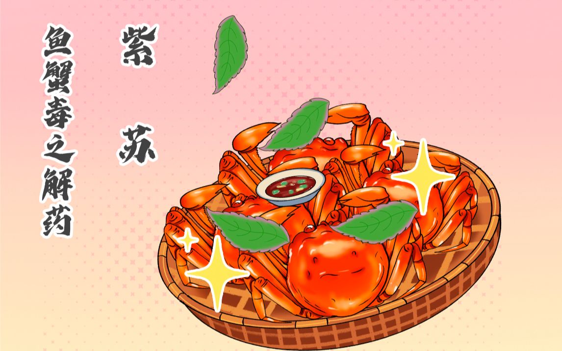 药食同源|紫苏,螃蟹之绝配