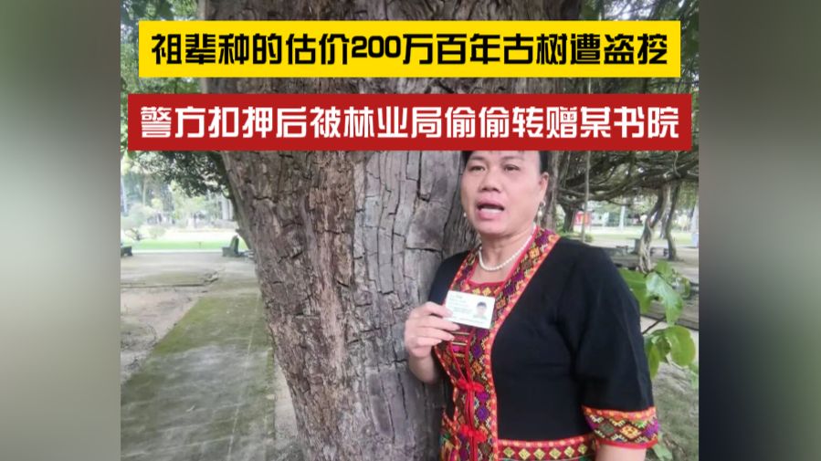 祖辈种的百年古树遭盗挖，警方扣押后被林业局偷偷转赠某书院