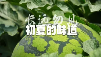 Download Video: 《君到姑苏见》苏州话特别版《长远勿见》第一百六十四集：初夏的味道