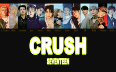 Seventeen Crush成员歌词分配 中韩双字幕 哔哩哔哩