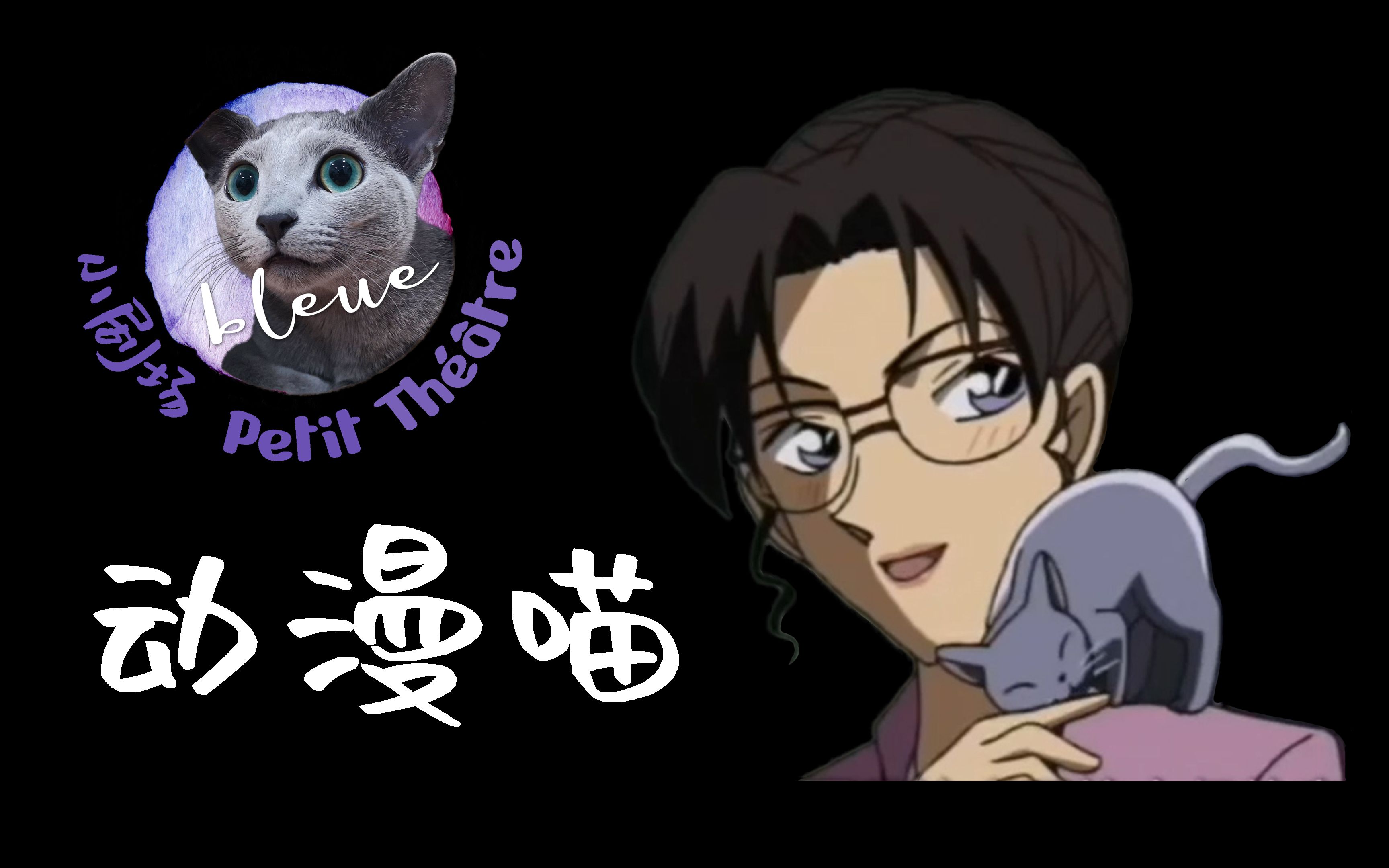 拥有一只【柯南】同款 妃英理的猫