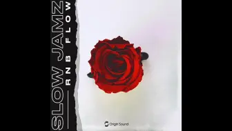 I2 Hdslb Com Bfs Archive 93c7cdad4dd486f