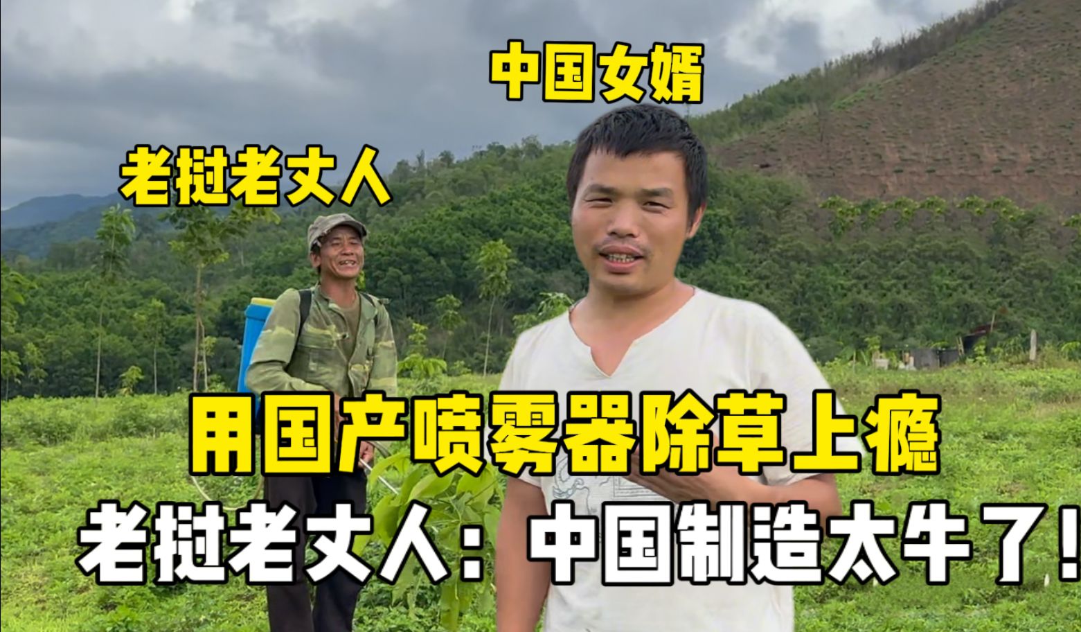 壁纸 成片种植 风景 植物 种植基地 桌面 1561_912