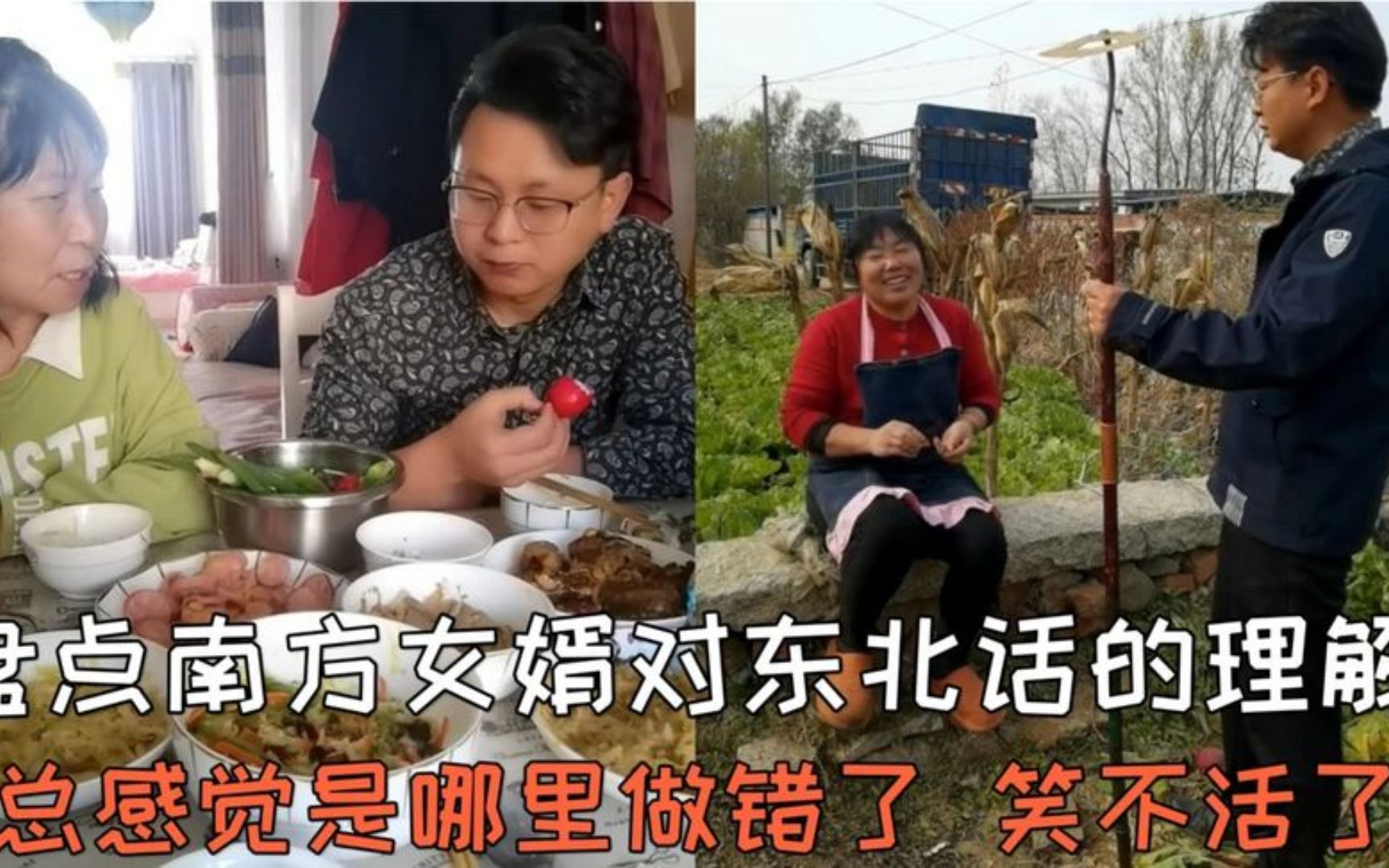 盘点南方女婿对东北话的理解,总感觉哪里好像做错了,笑不活了