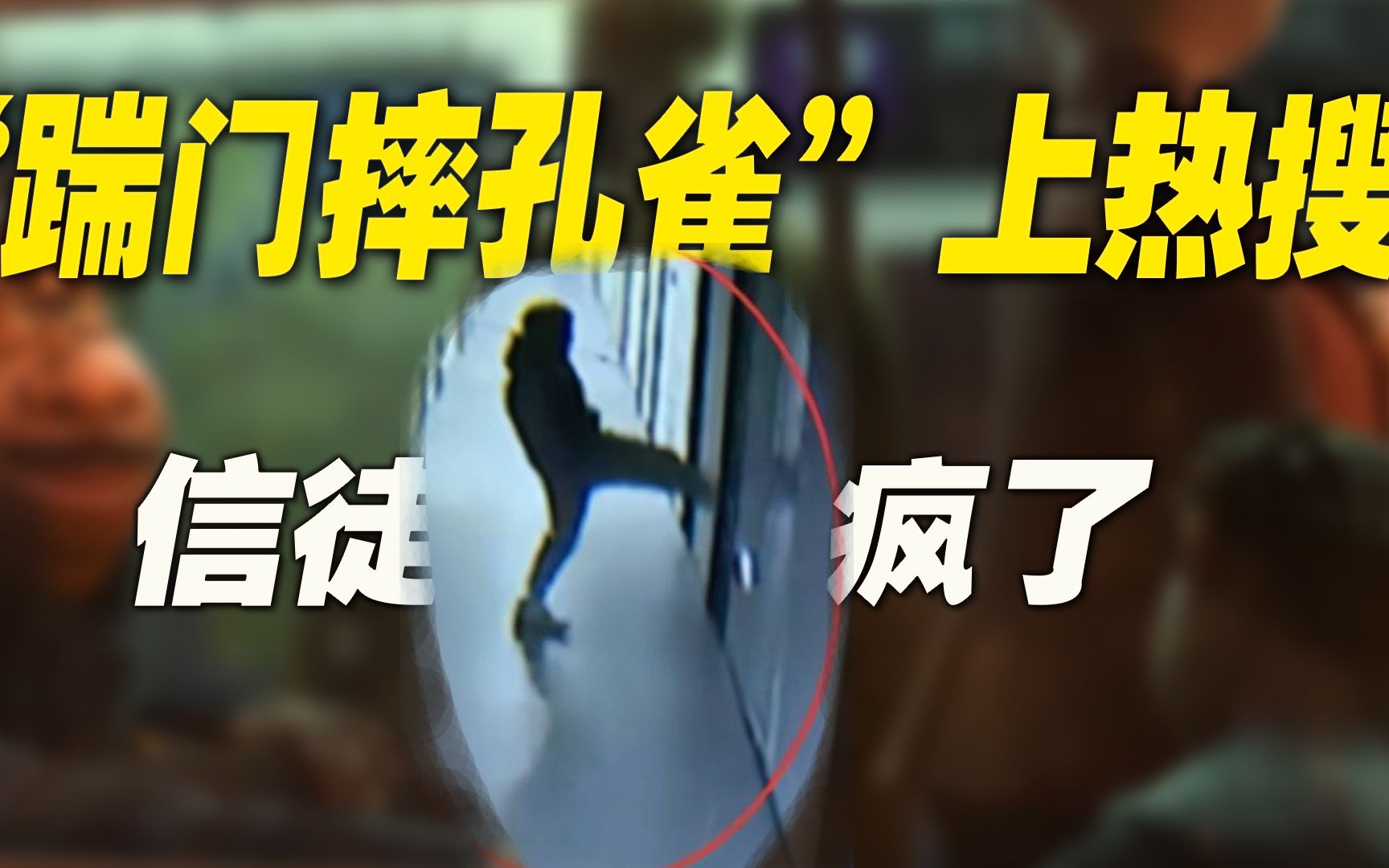 离谱!“踹门、摔孔雀”上热搜,“这帮信徒疯了!”-半耳聆-半耳聆-哔哩哔哩视频
