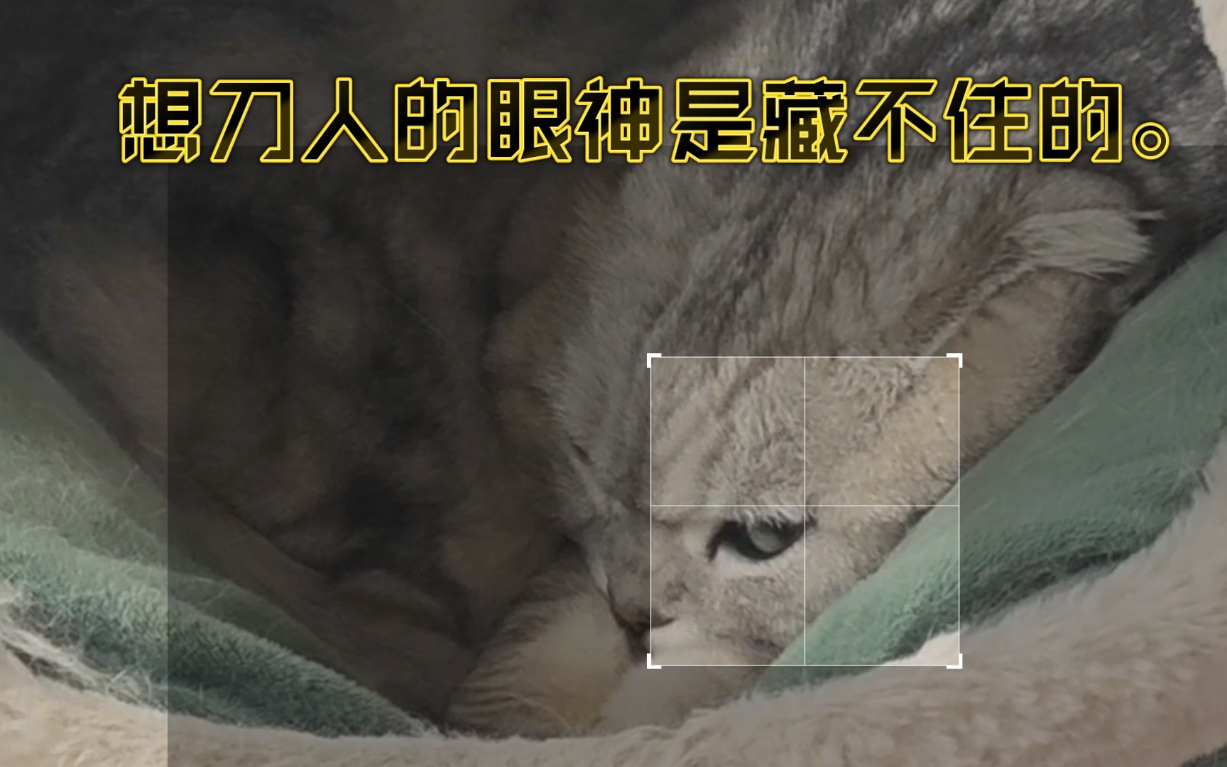 想刀人的眼神是藏不住的.