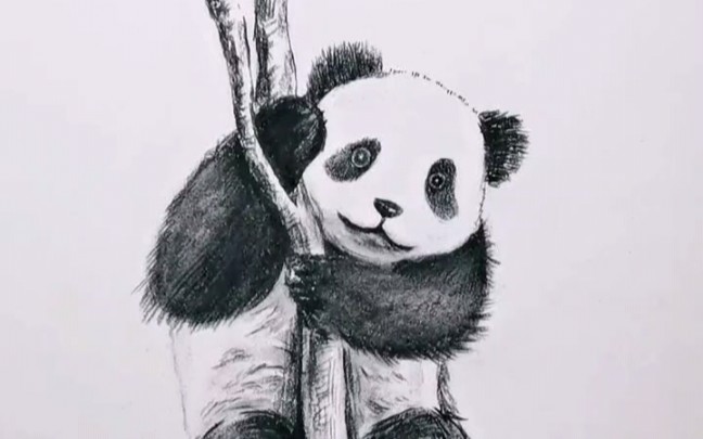 铅笔画1分钟教你学会画大熊猫你学会了吗