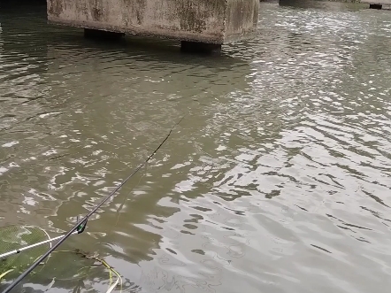 台风的时候 上海野钓 没口