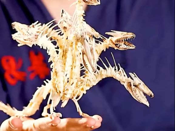 震撼!拼装多头龙诞生记:细节与创意的完美融合